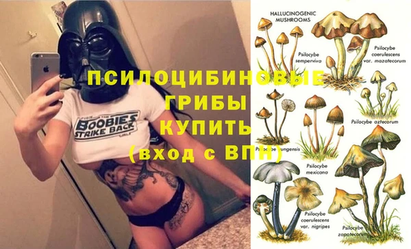 a pvp Горняк